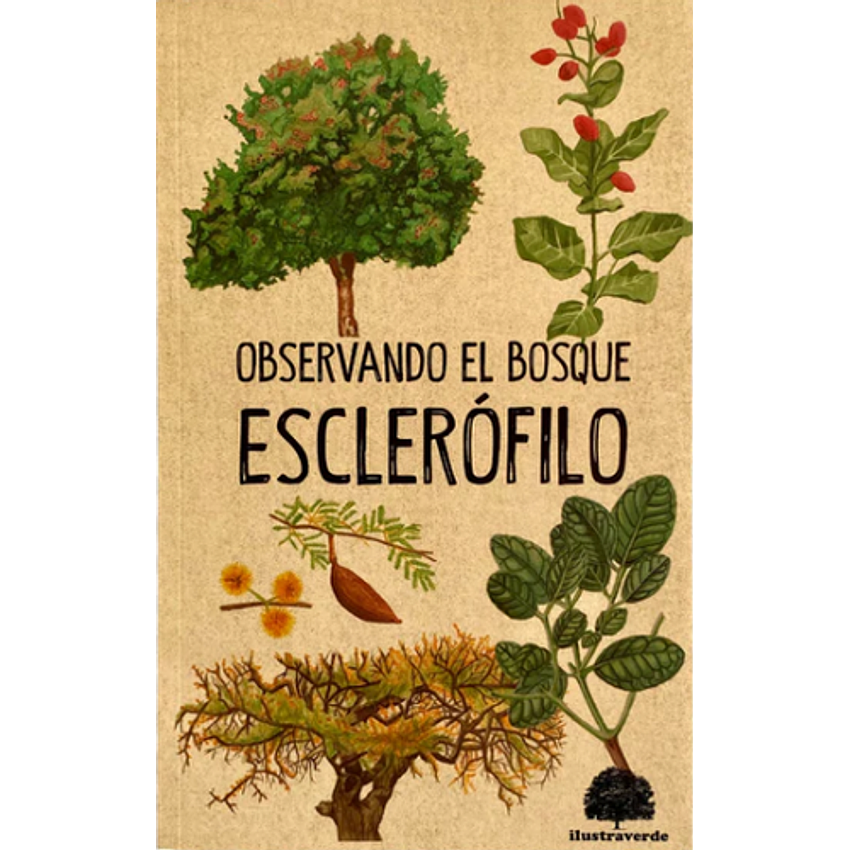 Observando El Bosque Esclerofilo 1