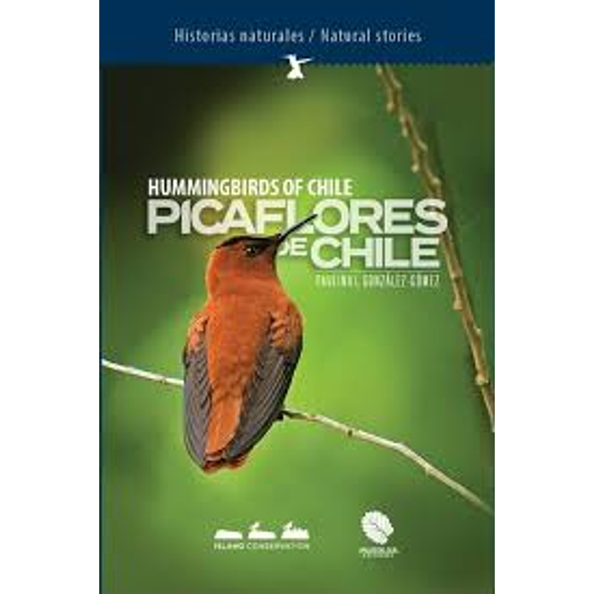 Picaflores De Chile (Fagus) 1