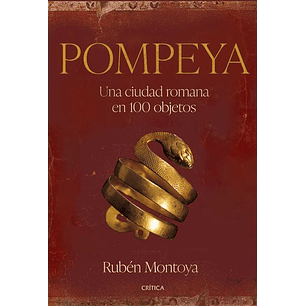 Pompeya Una Ciudad Romana En 100 Objetos