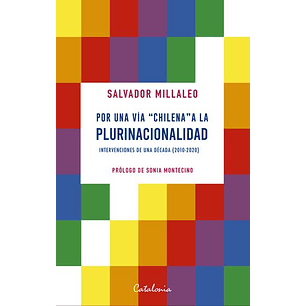 Por Una Via Chilena A La Plurinacionalidad