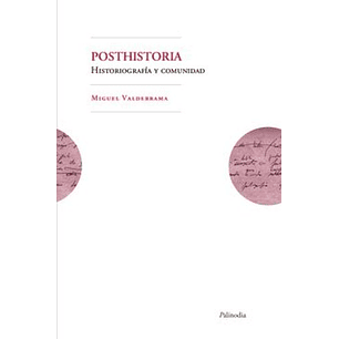 Posthistoria Historiografia Y Comunidad