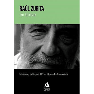 Raul Zurita En Breve