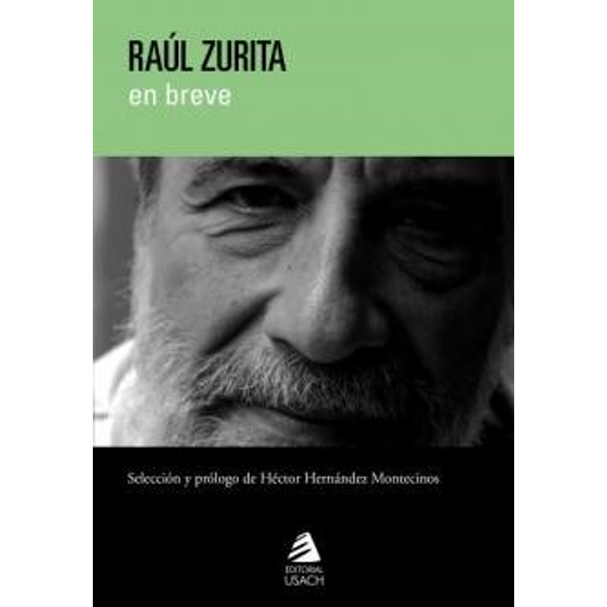 Raul Zurita En Breve 1