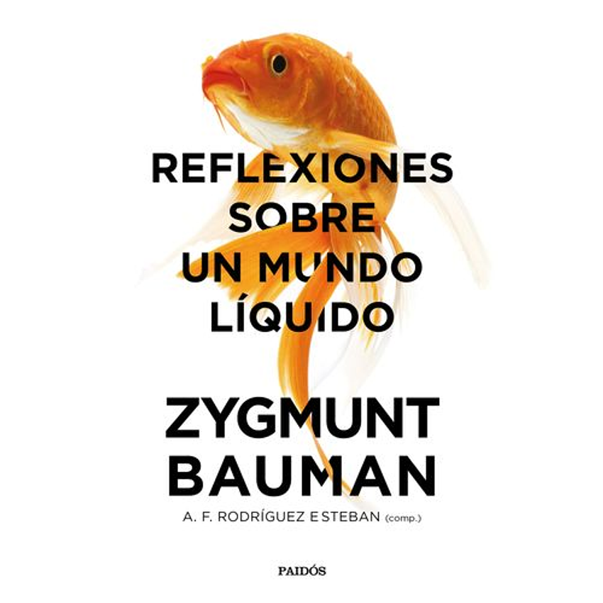 Reflexiones Sobre Un Mundo Liquido 1