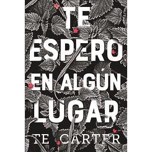 Te Espero En Algun Lugar