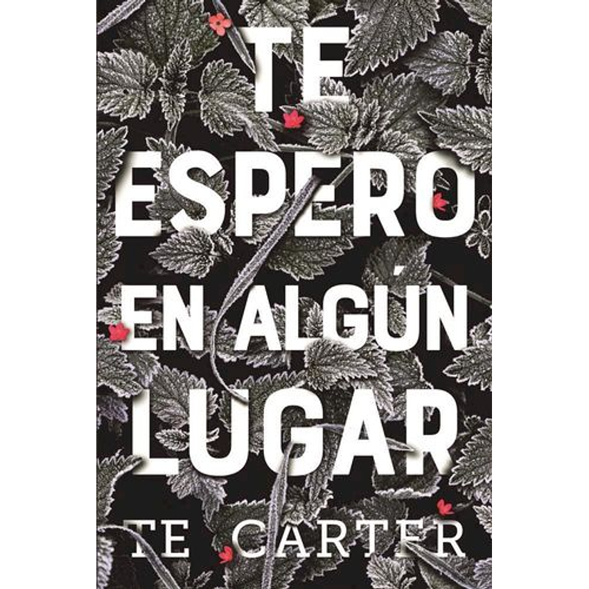 Te Espero En Algun Lugar 1