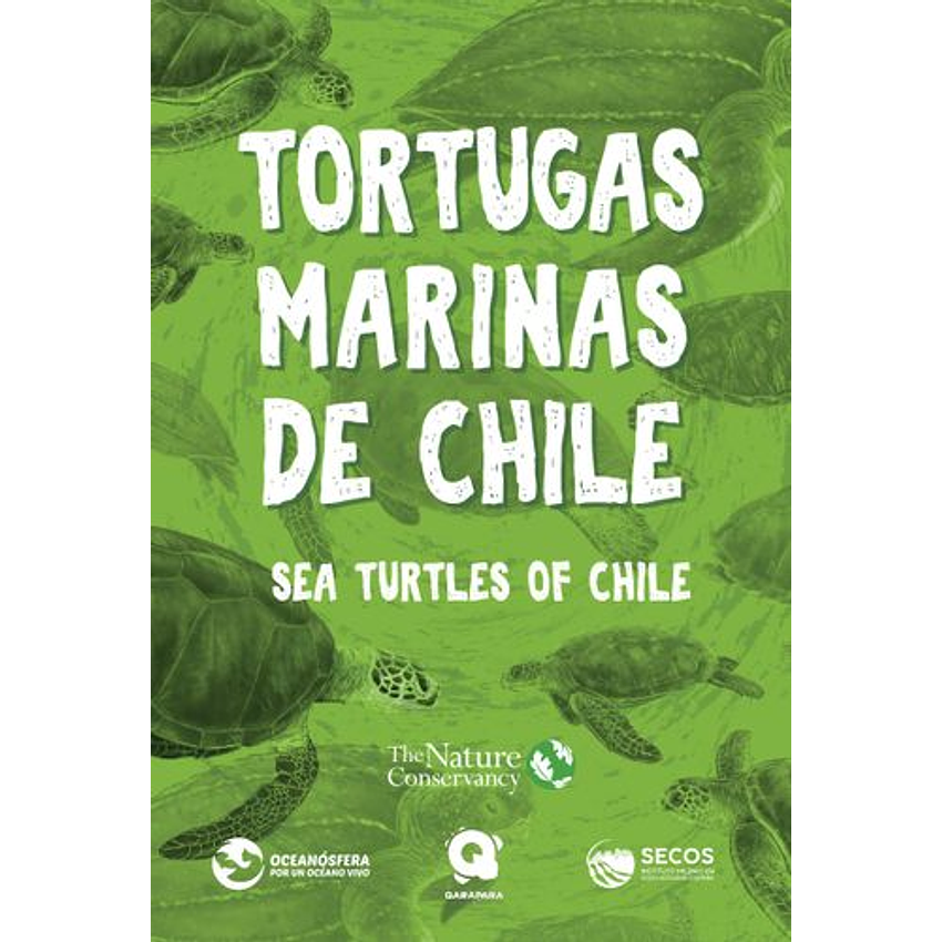 Tortugas Marinas De Chile 1