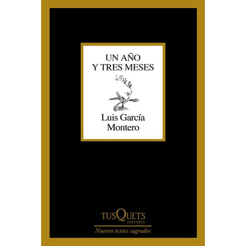 Un Año Y Tres Meses 1