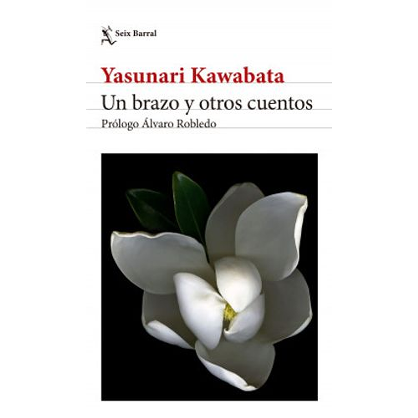 Un Brazo Y Otros Cuentos 1