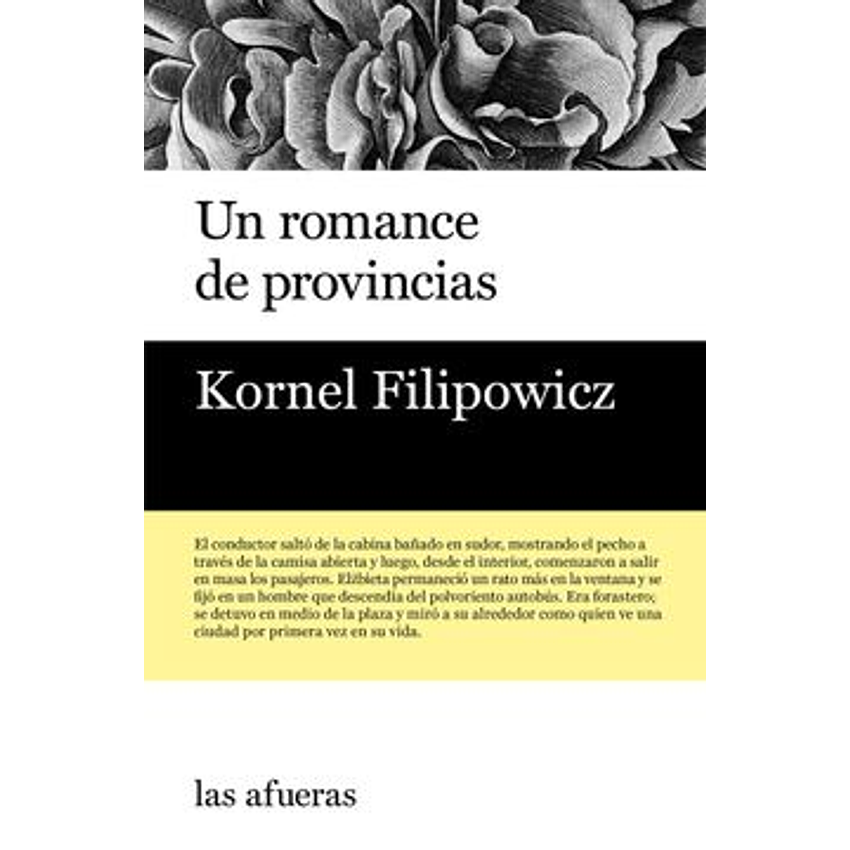 Un Romance De Provincias 1