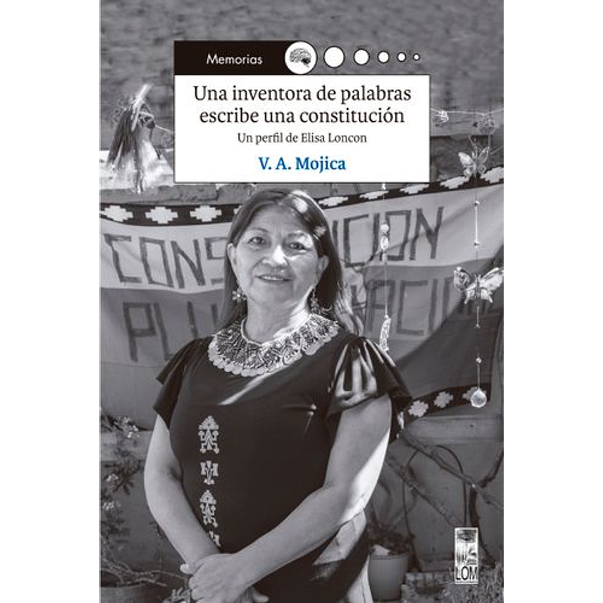 Una Inventora De Palabras Escribe Una Constitucion Un Perfil De Elisa Loncon 1