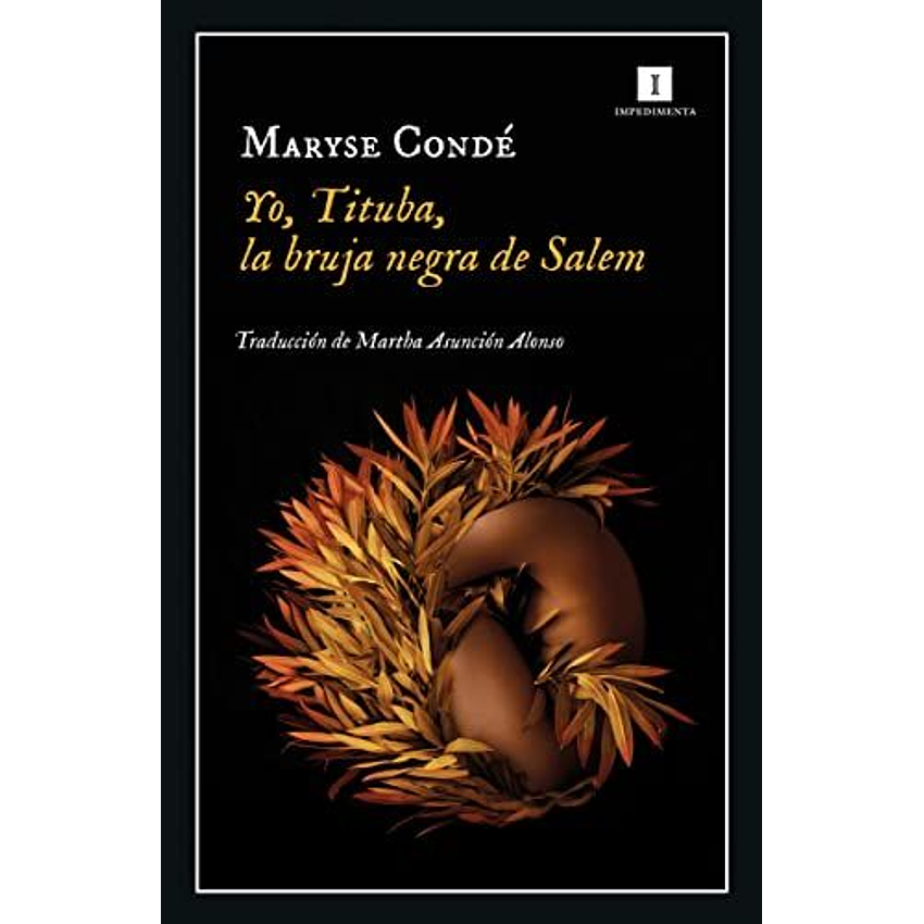 Yo Tituba La Bruja Negra 1
