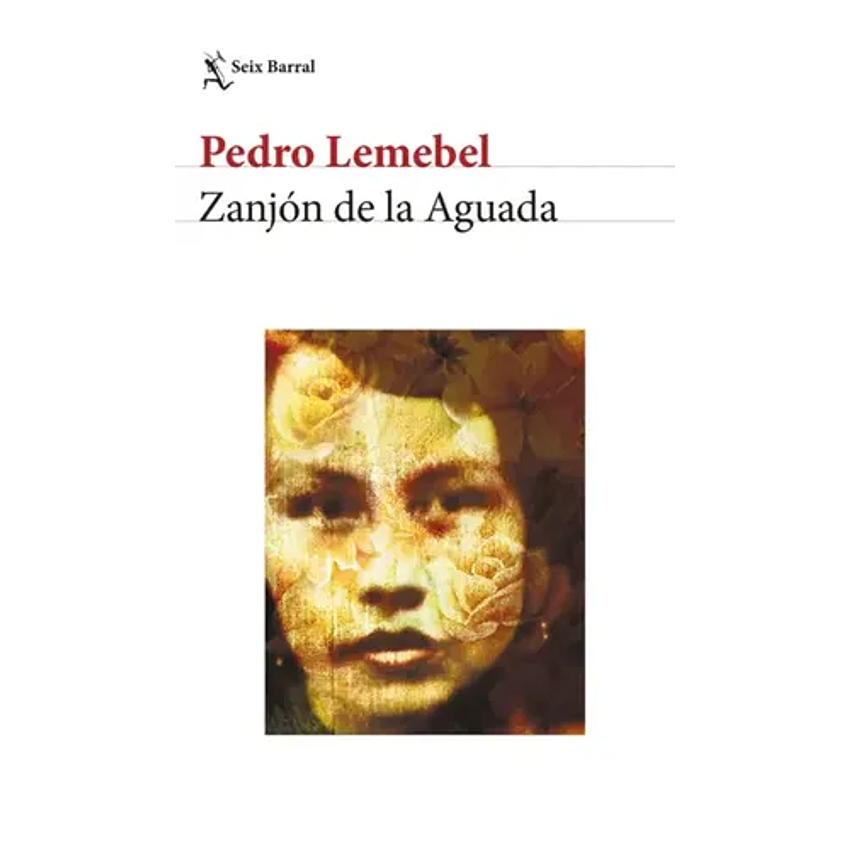 Zanjon De La Aguada 1