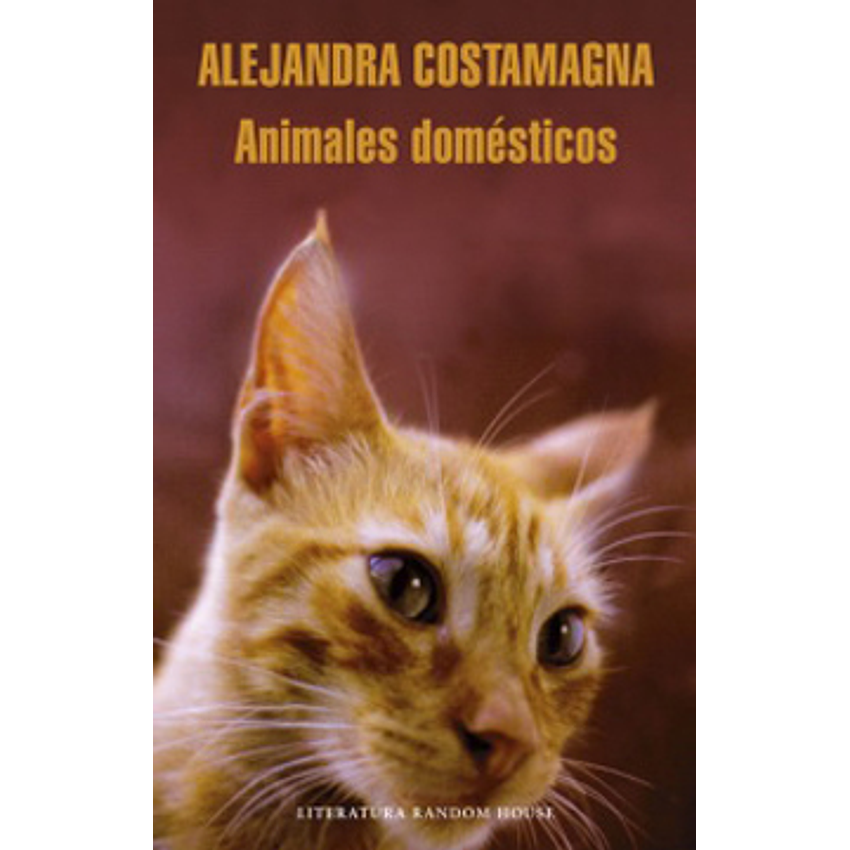 Animales Domesticos 1