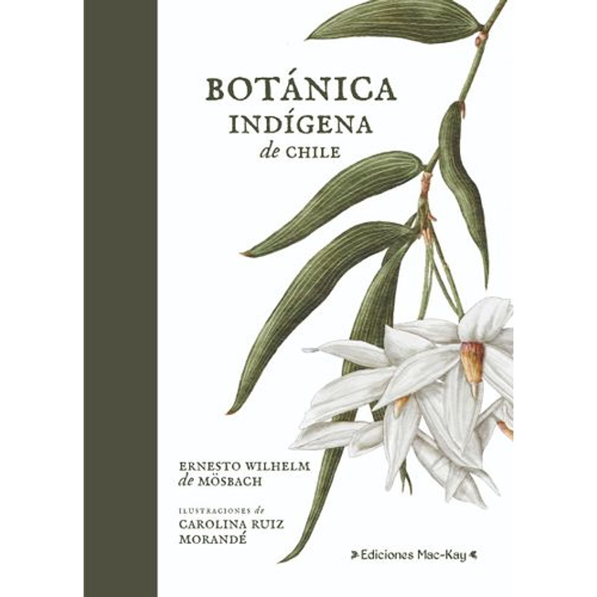 Botanica Indigena De Chile 1