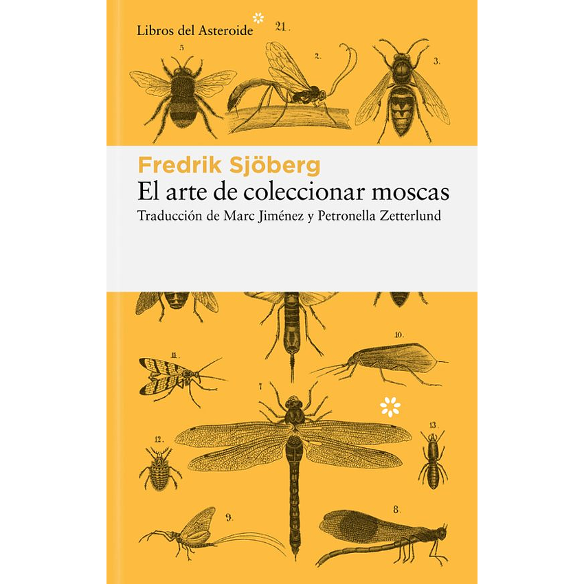 El Arte De Coleccionar Moscas 1