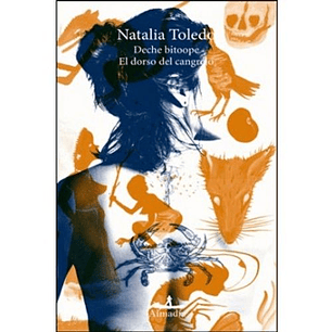 El Dorso Del Cangrejo