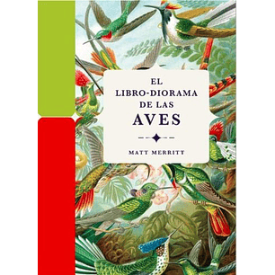 El Libro Diorama De Las Aves