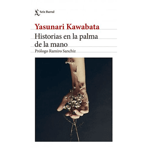 Historias En La Palma De La Mano