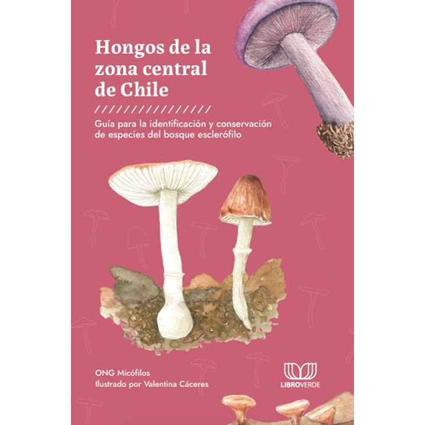 Hongos De La Zona Central De Chile 1