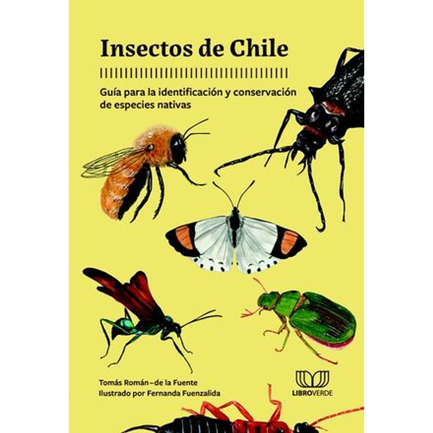 Insectos De Chile 1