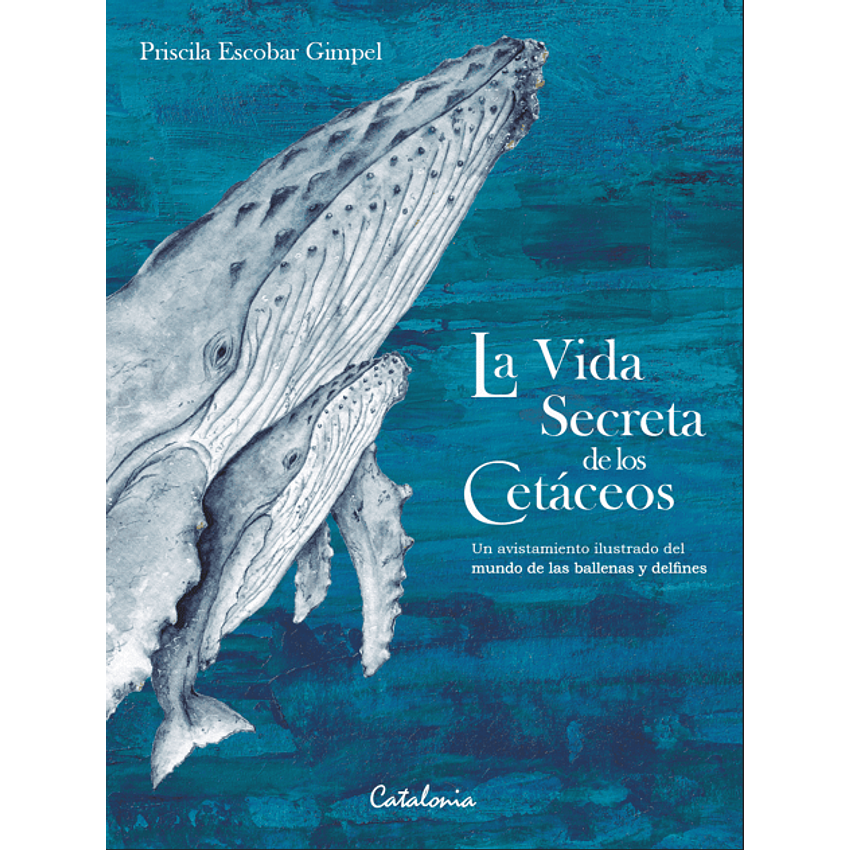 La Vida Secreta De Los Cetaceos 1