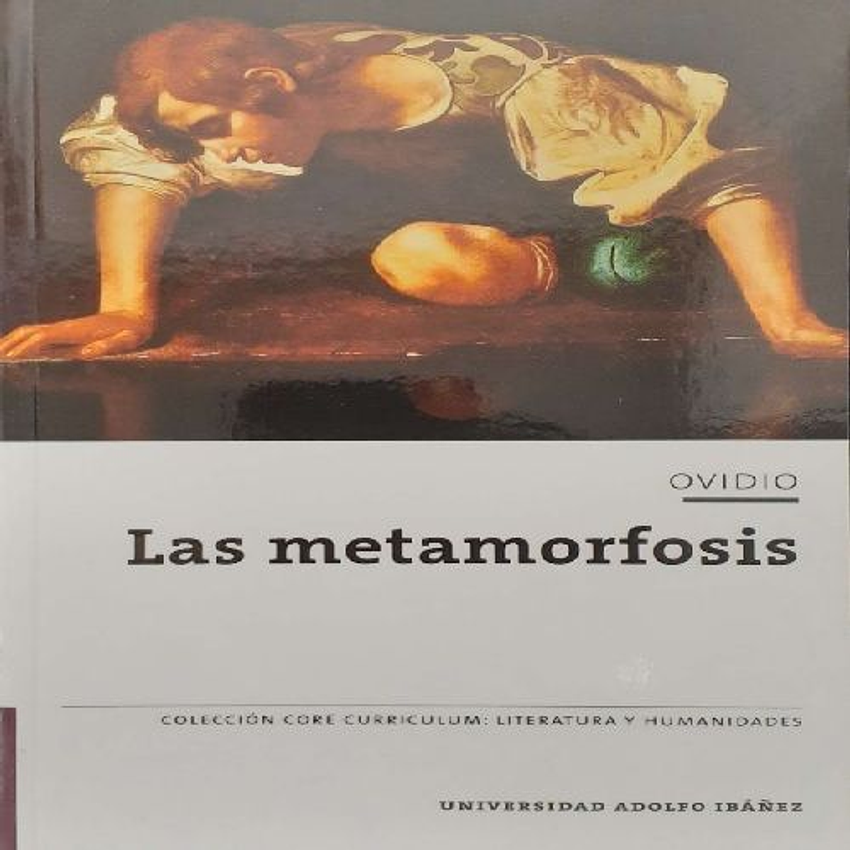 Las Metamorfosis 1