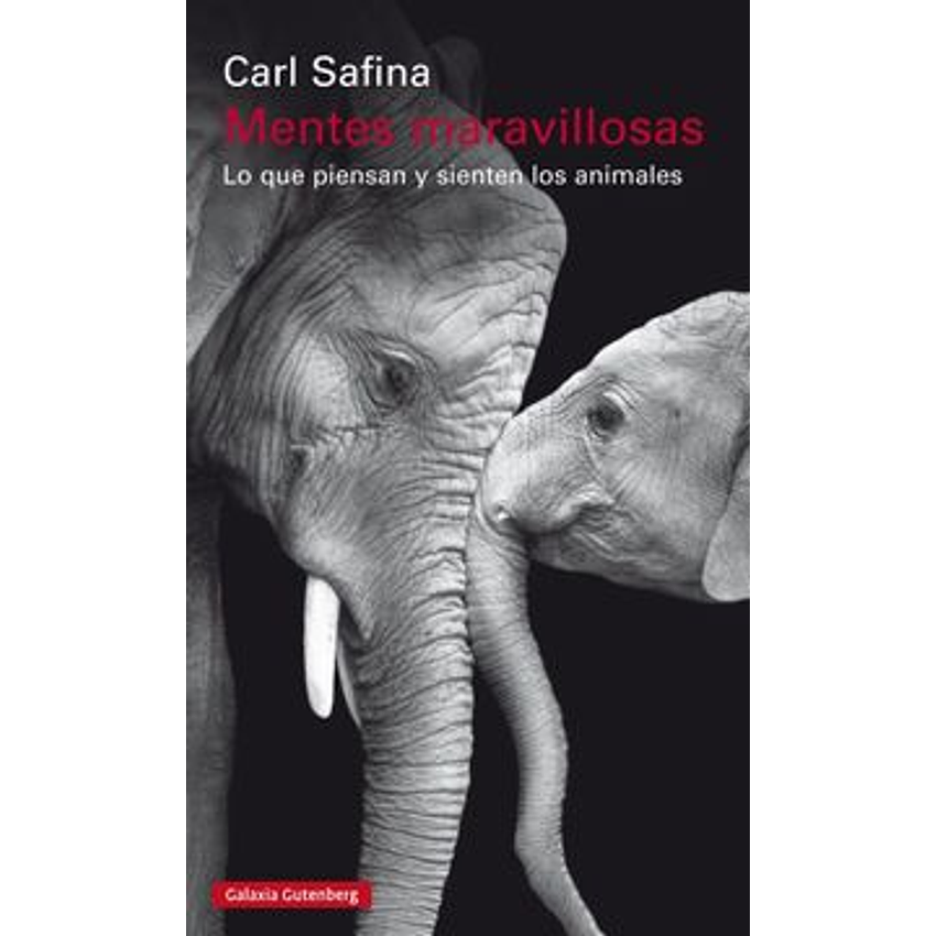 Mentes Maravillosas 1