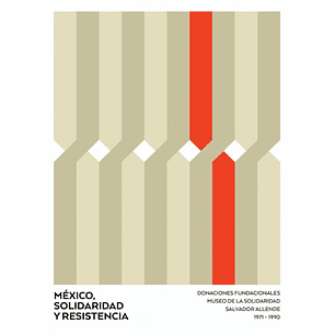 Mexico Solidaridad Y Resistencia