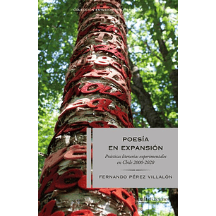 Poesia En Expansion