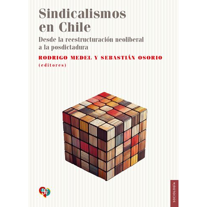 Sindicalismos En Chile 1