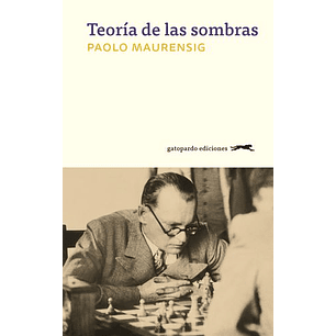 Teoria De Las Sombras