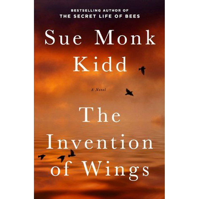 The Invention Of Wings 1