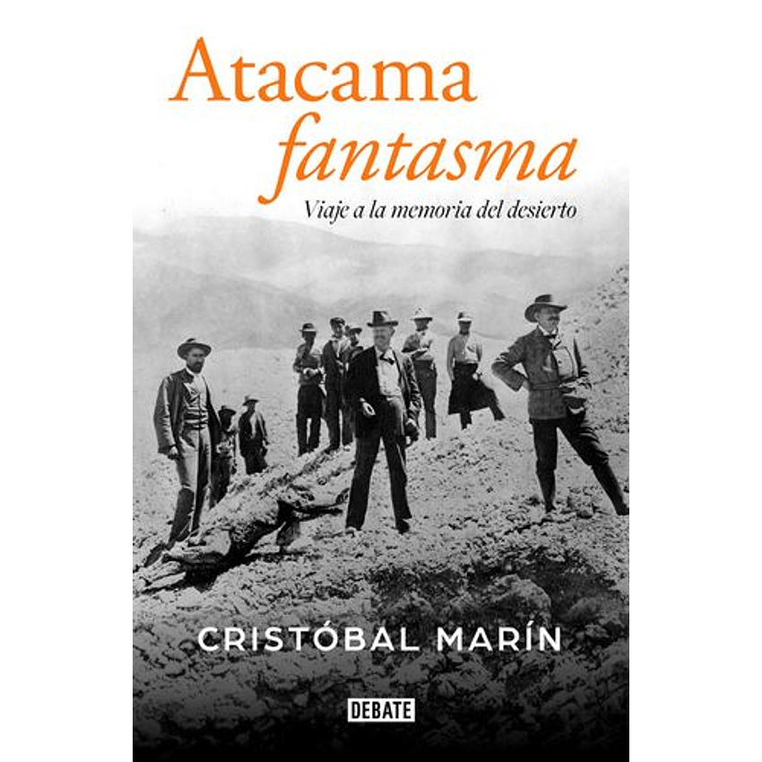 Atacama Fantasma 1