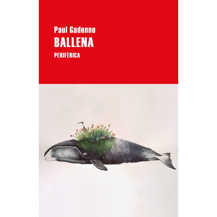 Ballena 1