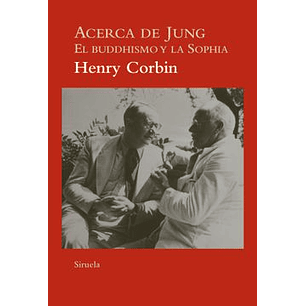 Acerca De Jung El Buddhismo Y La Sophia