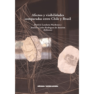 Afectos Y Visibilidades Comparadas Entre Chile Y Brasil