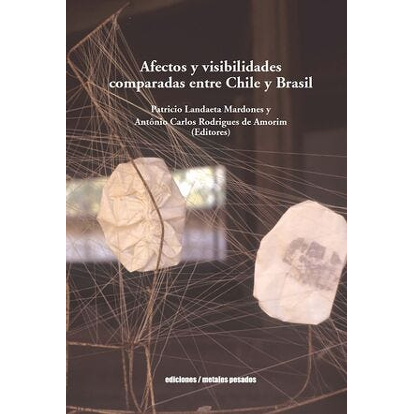 Afectos Y Visibilidades Comparadas Entre Chile Y Brasil 1