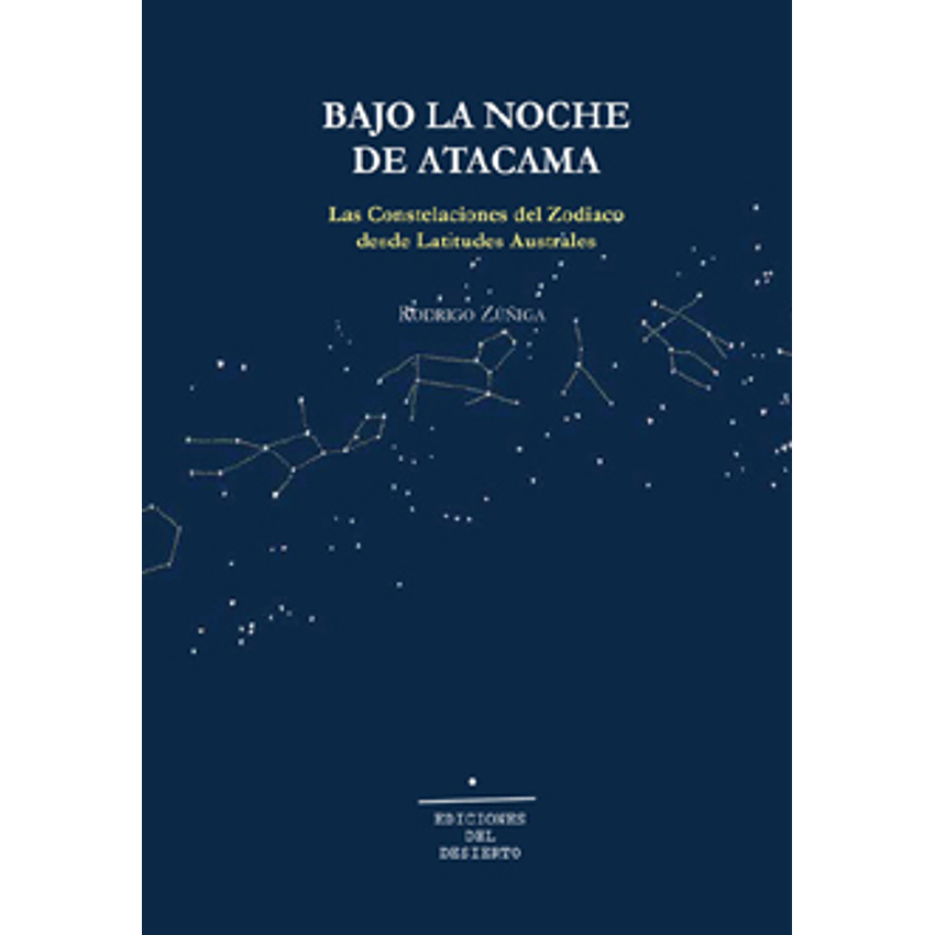 Bajo La Noche De Atacama 1