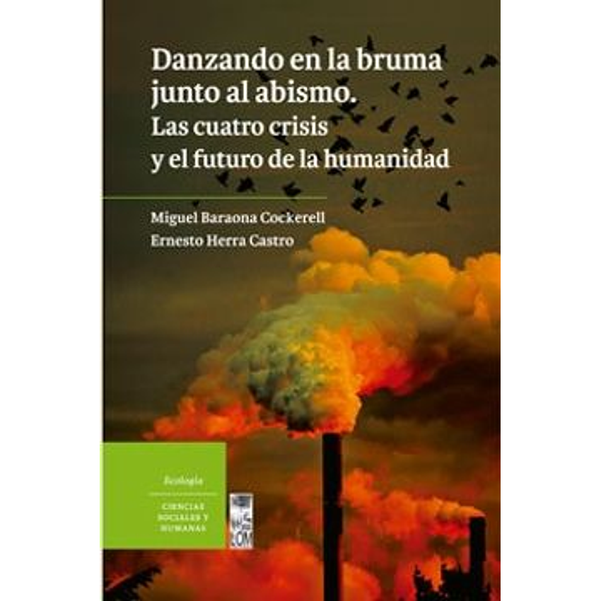 Danzando En La Bruma Junto Al Abismo 1