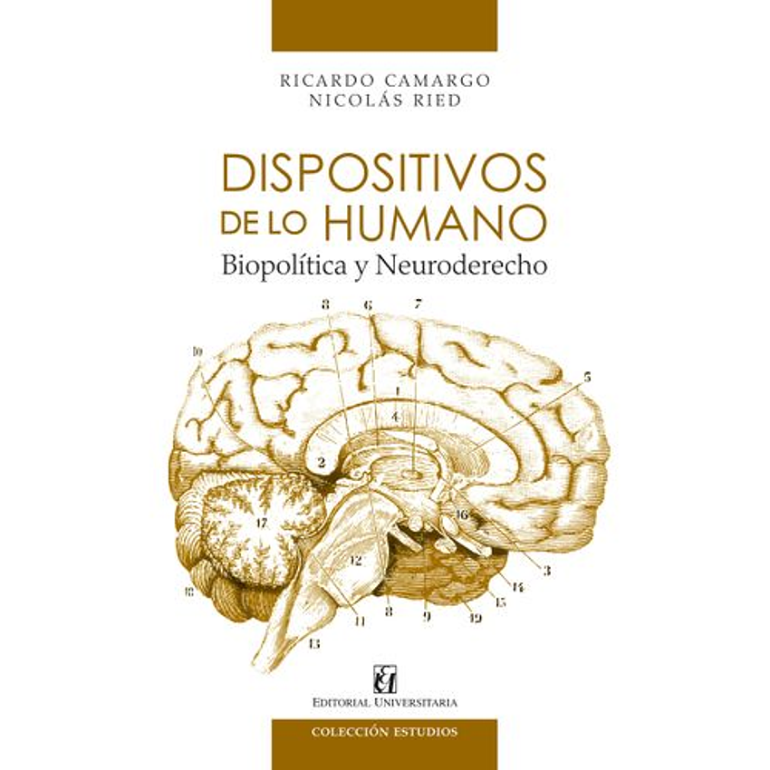 Dispositivos De Lo Humano Biopolitica Y Neuroderecho 1