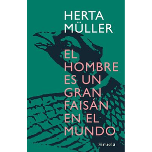 El Hombre Es Un Gran Faisan En El Mundo