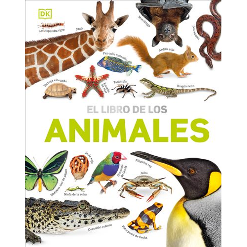 El Libro De Los Animales (Dk) 1