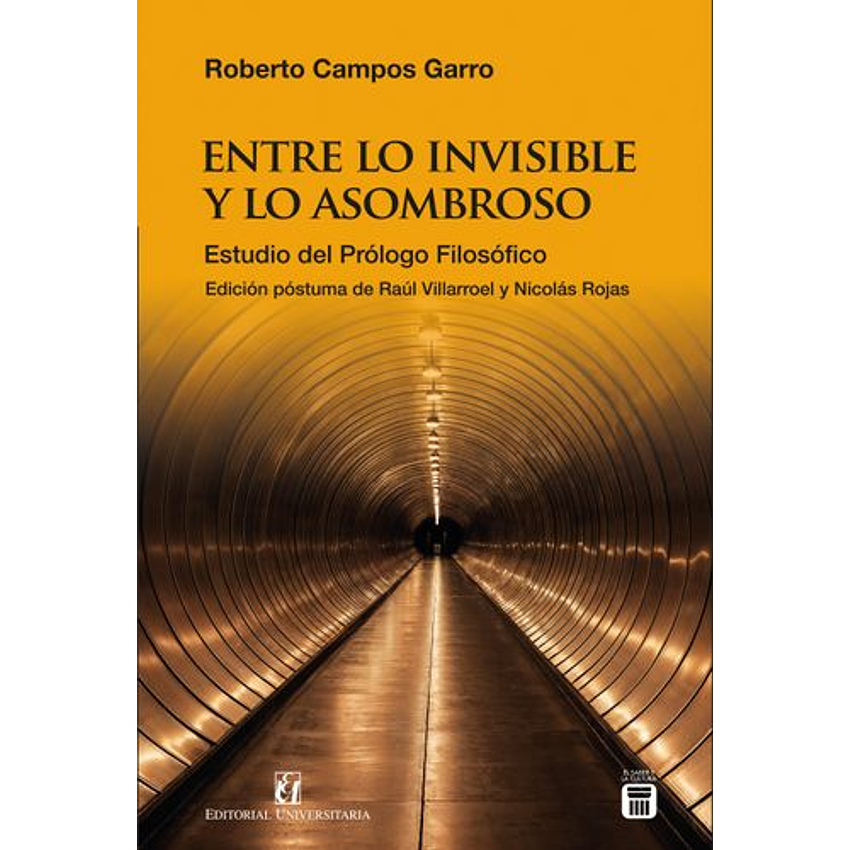 Entre Lo Invisible Y Lo Asombroso 1