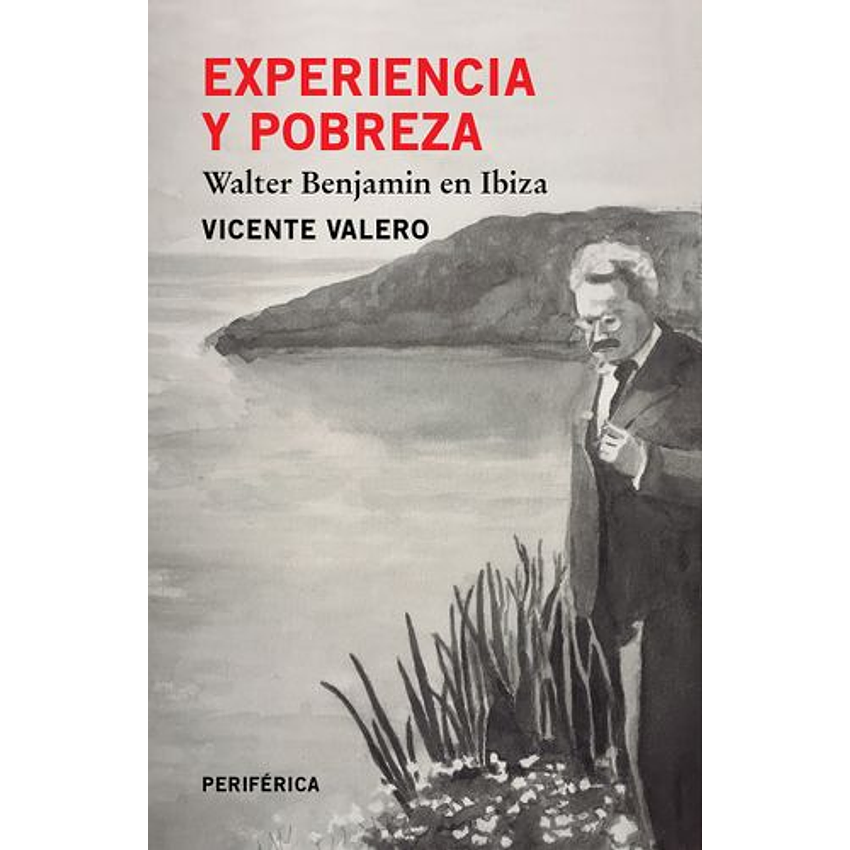 Experiencia Y Pobreza 1