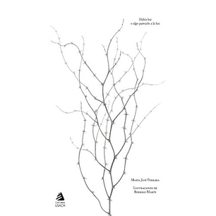 Habia Luz O Algo Parecido A La Luz