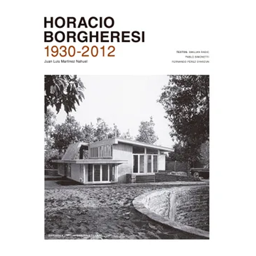 Horacio Borgheresi 1