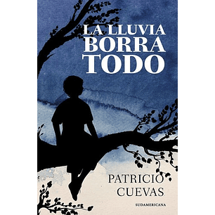 La Lluvia Borro Todo