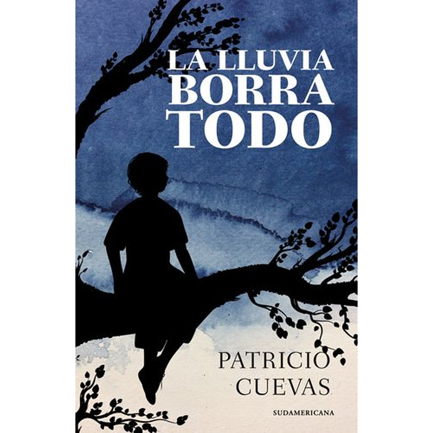 La Lluvia Borro Todo 1