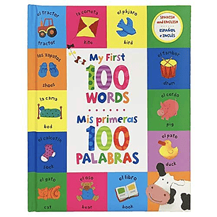 Mis Primeras 100 Palabras Bilingue